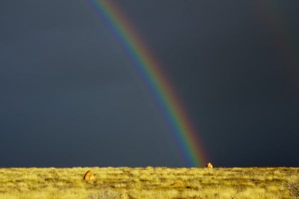 At the End of the Rainbow is a _