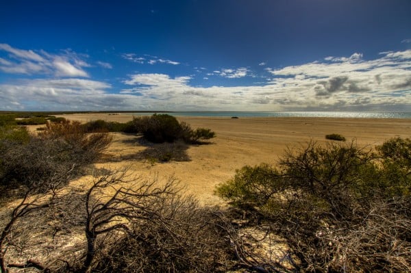 Shell Bay